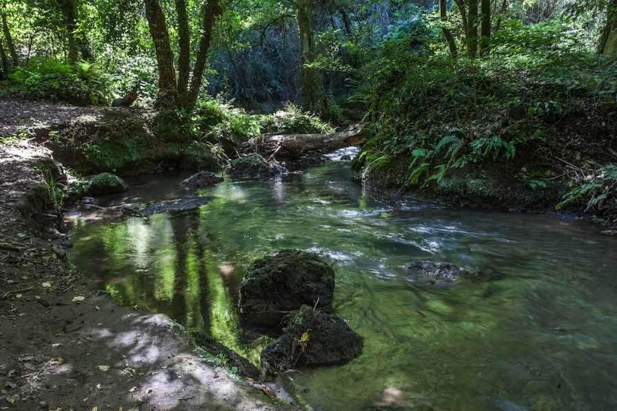 Agriturismo Villa Amerina Corchiano Εξωτερικό φωτογραφία